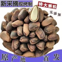 新貨東北開(kāi)口松子大顆粒袋裝500g新炒松子堅(jiān)果零食特產(chǎn)批發(fā)松子