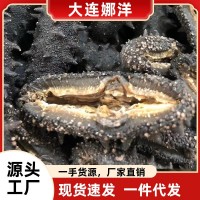 大連淡干海參50g水產(chǎn)海參干貨批發(fā)食用廠家一手野生遼參禮盒裝