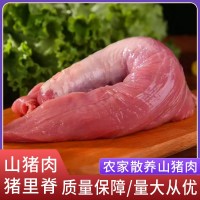 廠家直供阿文特種山豬肉豬里脊現(xiàn)殺冷鏈運輸肉質(zhì)鮮嫩山豬肉豬里脊