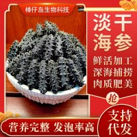 廠家批發(fā)大連淡干海參遼參高刺海參干貨批發(fā)100g簡易禮盒半干海參